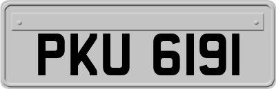 PKU6191