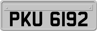 PKU6192