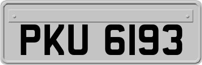 PKU6193