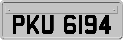 PKU6194