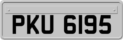 PKU6195