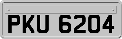 PKU6204