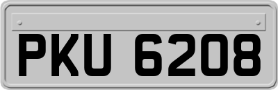 PKU6208