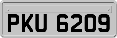 PKU6209
