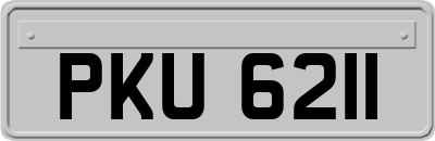 PKU6211