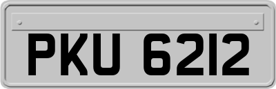PKU6212
