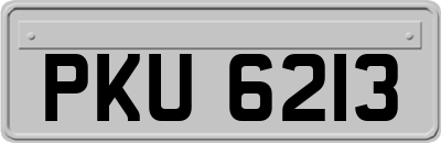 PKU6213