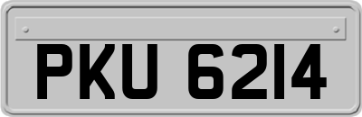 PKU6214