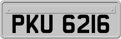 PKU6216