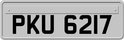 PKU6217