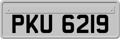 PKU6219