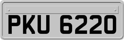 PKU6220