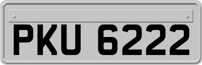 PKU6222