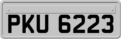 PKU6223