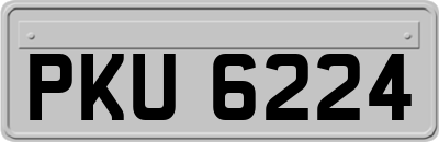 PKU6224