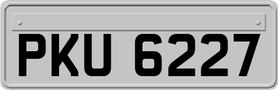 PKU6227