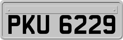PKU6229