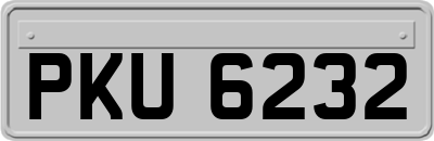 PKU6232
