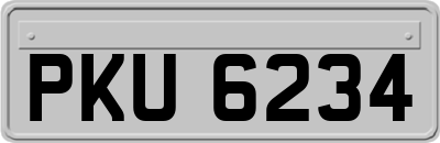 PKU6234