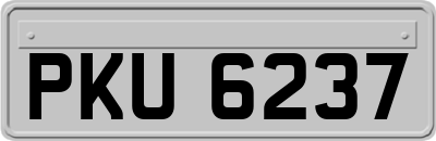 PKU6237