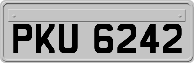 PKU6242