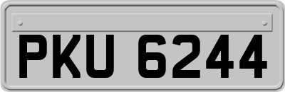 PKU6244
