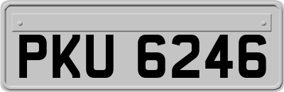 PKU6246
