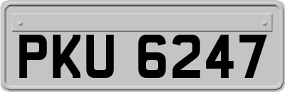 PKU6247