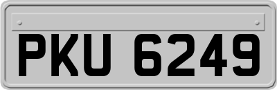 PKU6249
