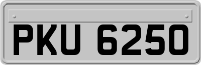 PKU6250