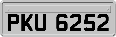 PKU6252
