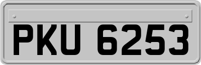 PKU6253