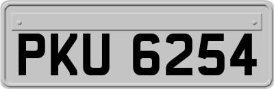 PKU6254