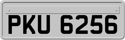 PKU6256