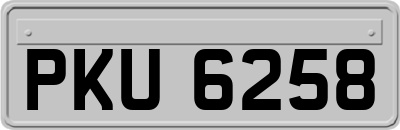 PKU6258