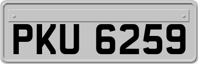 PKU6259