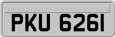 PKU6261