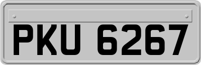PKU6267