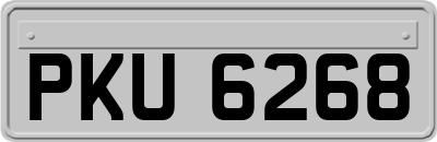PKU6268