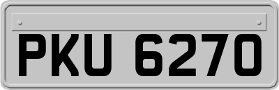 PKU6270