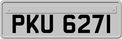 PKU6271