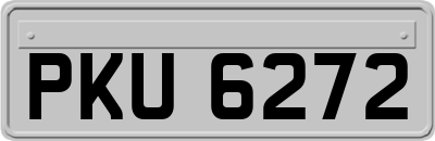 PKU6272