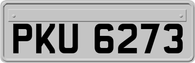 PKU6273