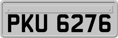 PKU6276