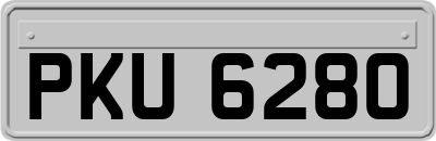 PKU6280