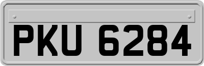 PKU6284