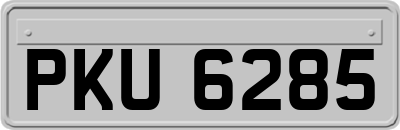 PKU6285