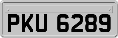 PKU6289