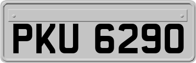 PKU6290