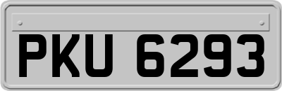 PKU6293
